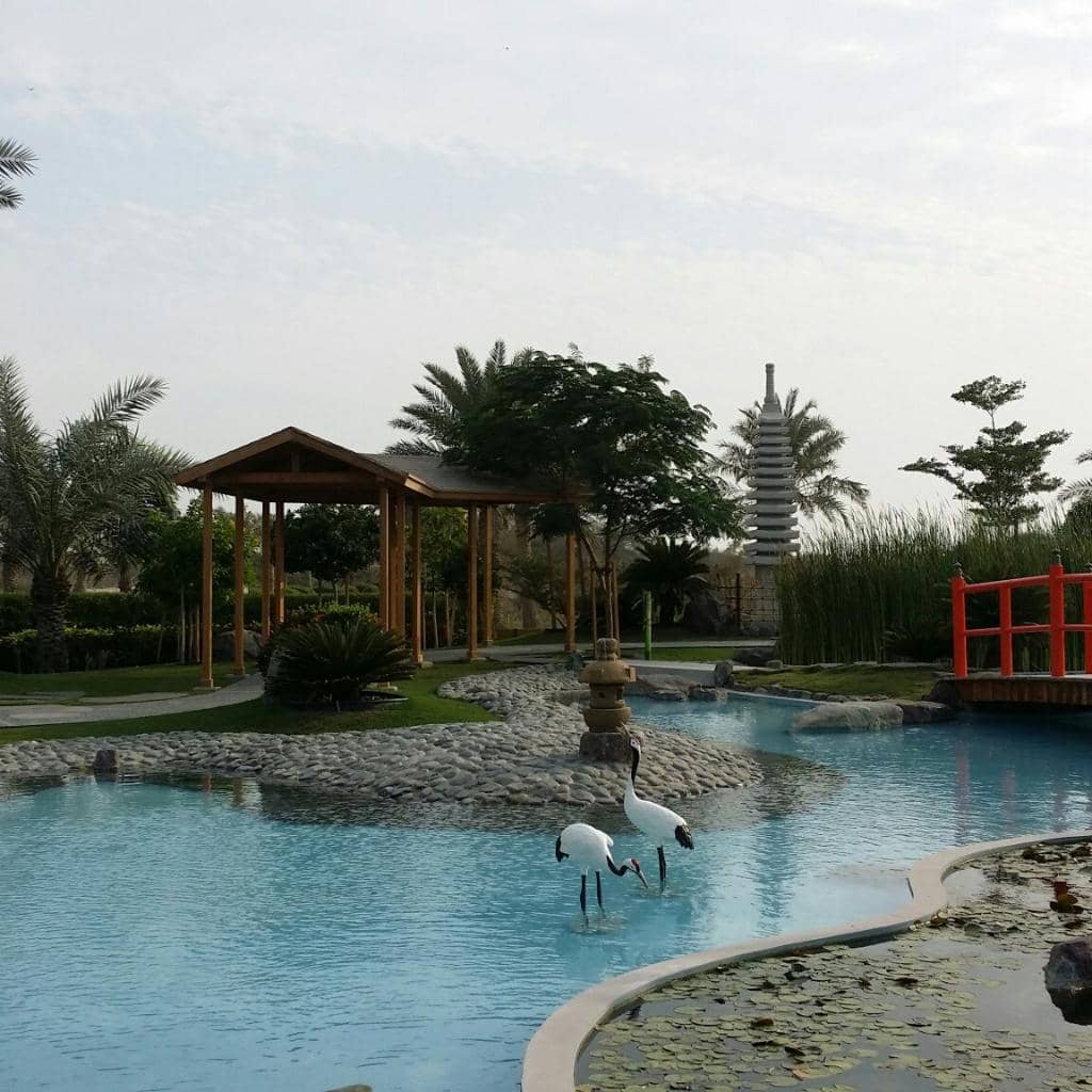 Diverse Bird Aviaries