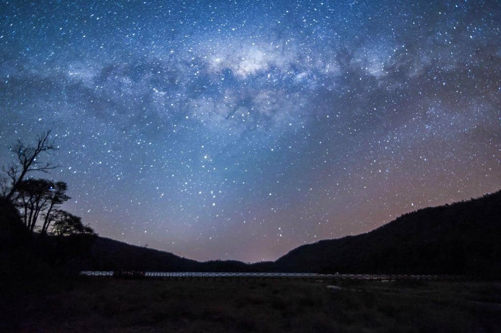 Native Forests & Wildlife