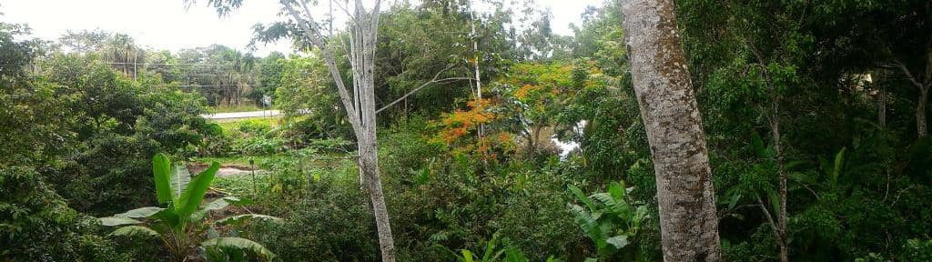 Expert-Led Guided Tours