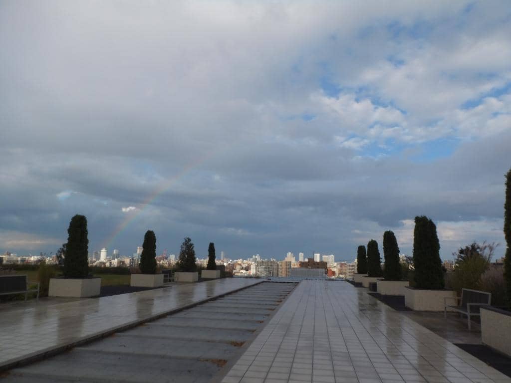 Interactive Indoor Play