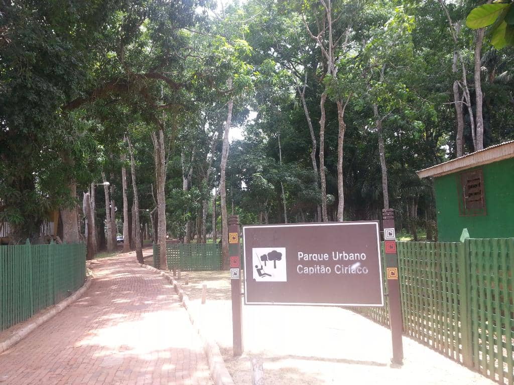 The Rubber Tapping Process