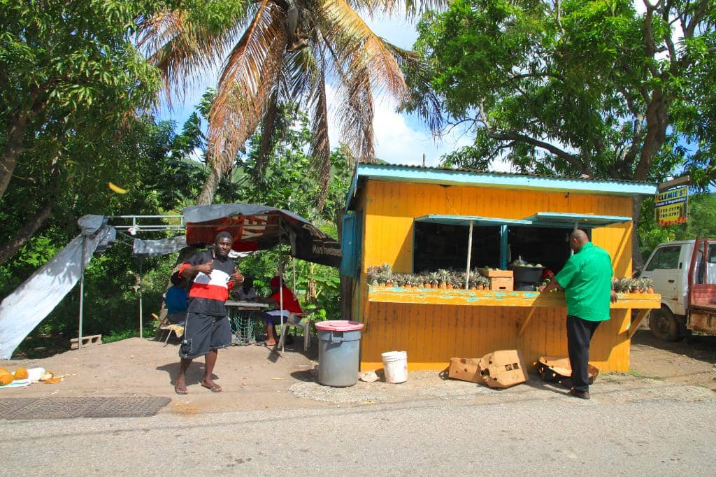 Roadside Fruit Stands
