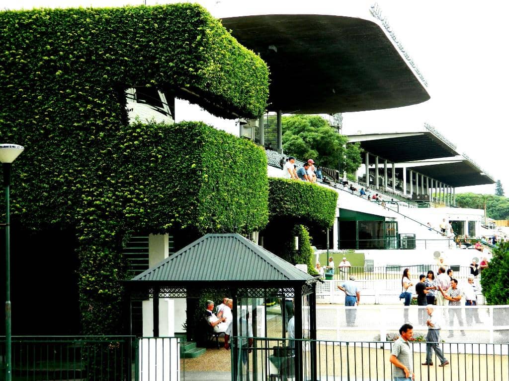 Music Festival Vibes