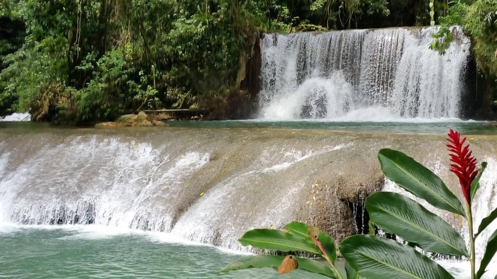 Natural Swimming Pools