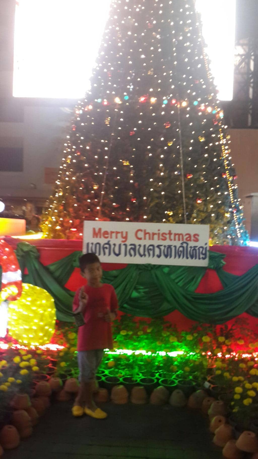 Street Food Delights