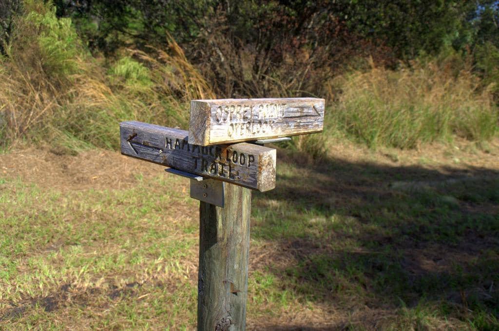 Observation Platforms