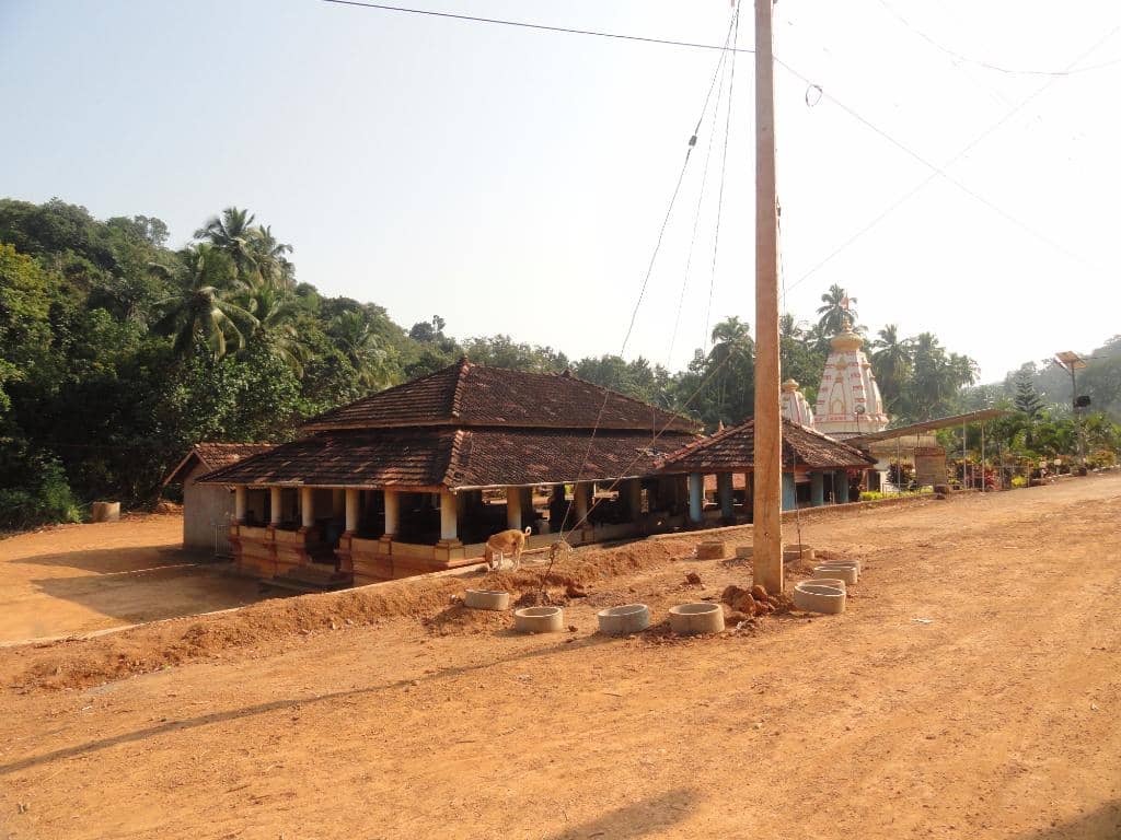 Tranquil Forest Setting