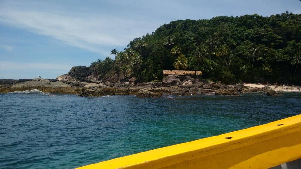 The Thrill of the Waves