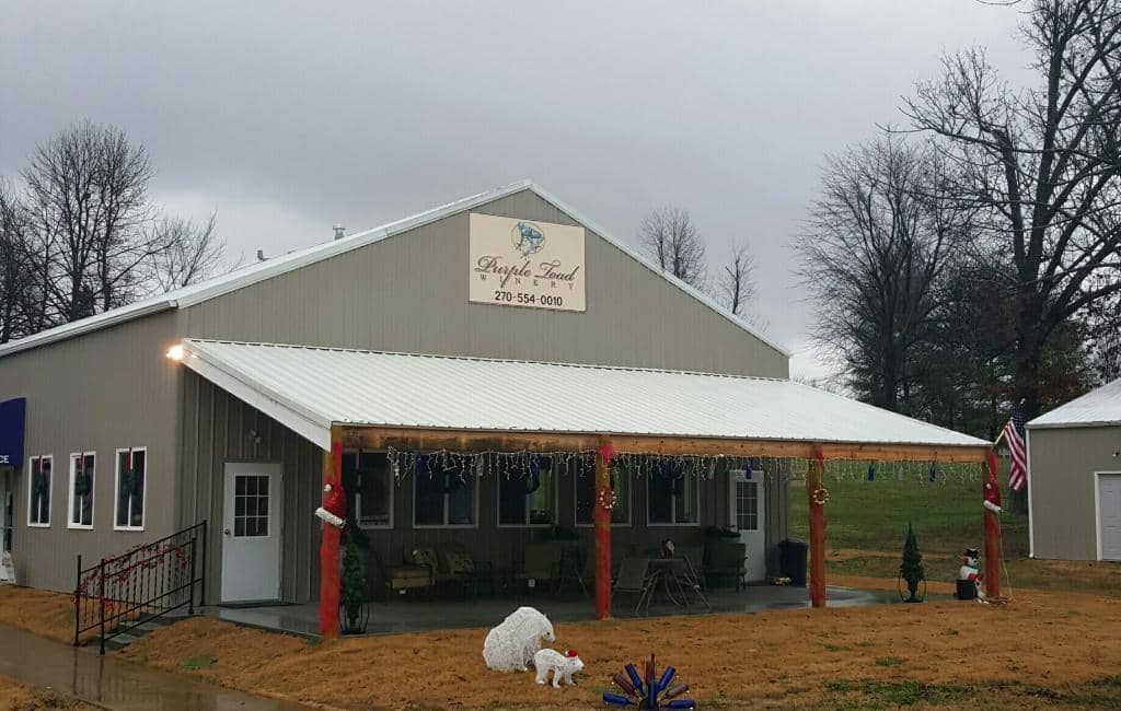 Allen's Blueberry Wine