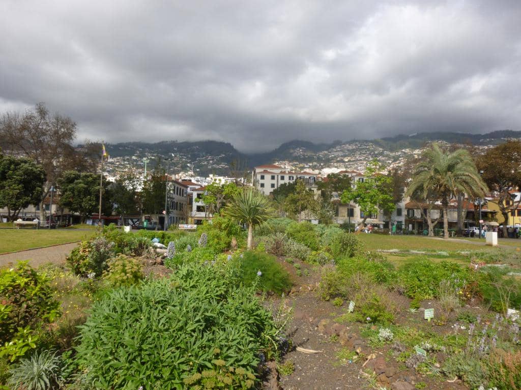 Painted Doors of Rua de Santa Maria