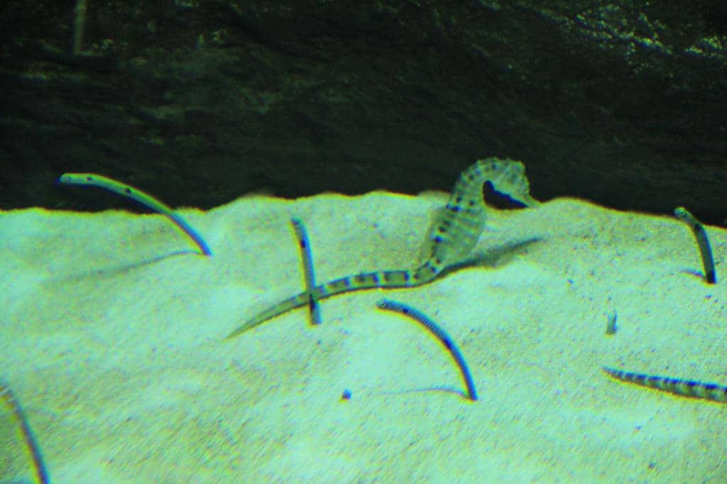 Queen of Tears Filming Location