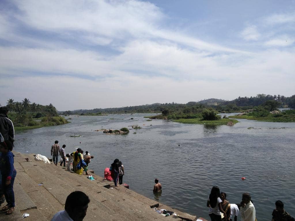 Peaceful Riverside Ambiance