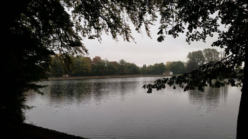 Lake Walk & Wildlife