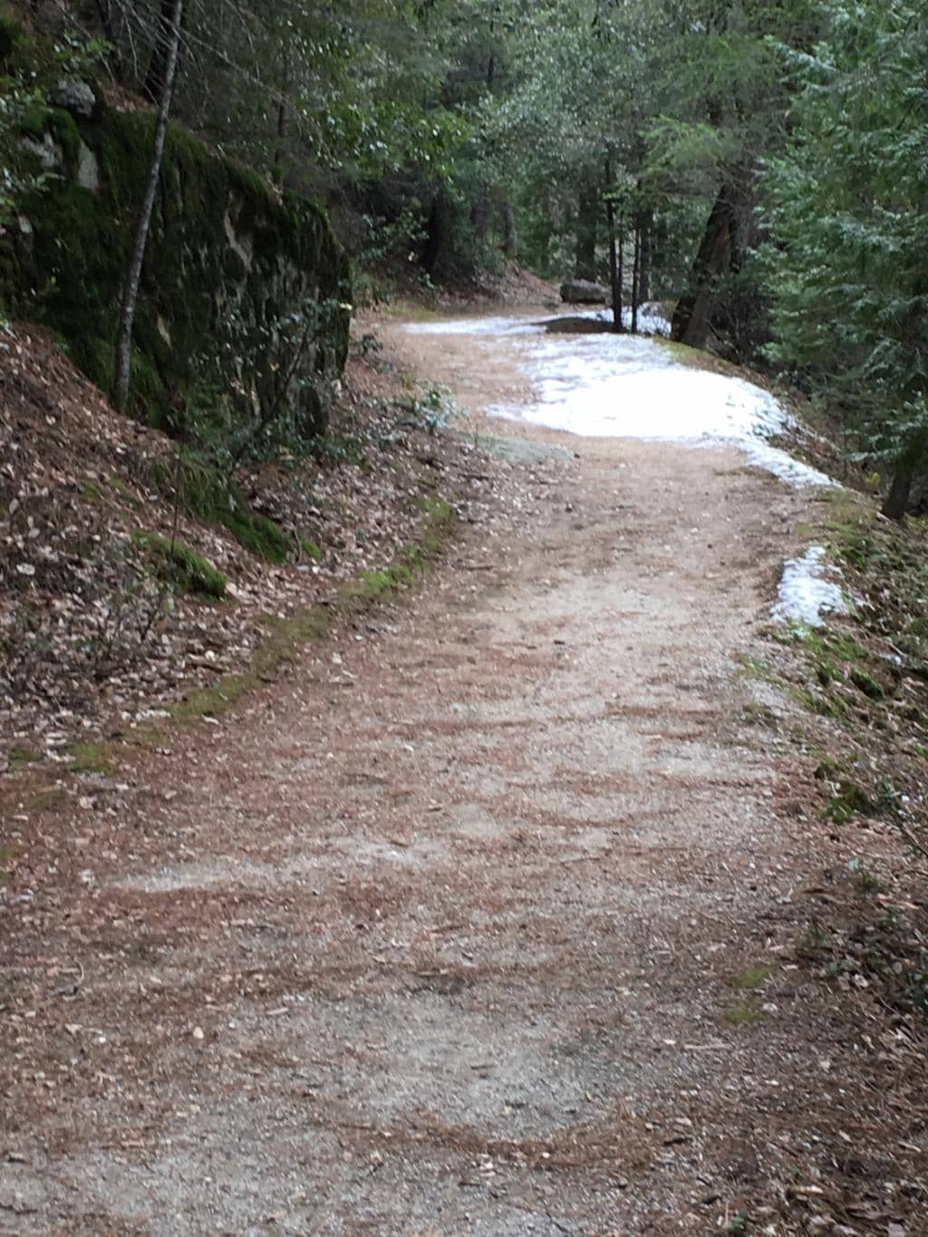 Swimming & BBQ Areas