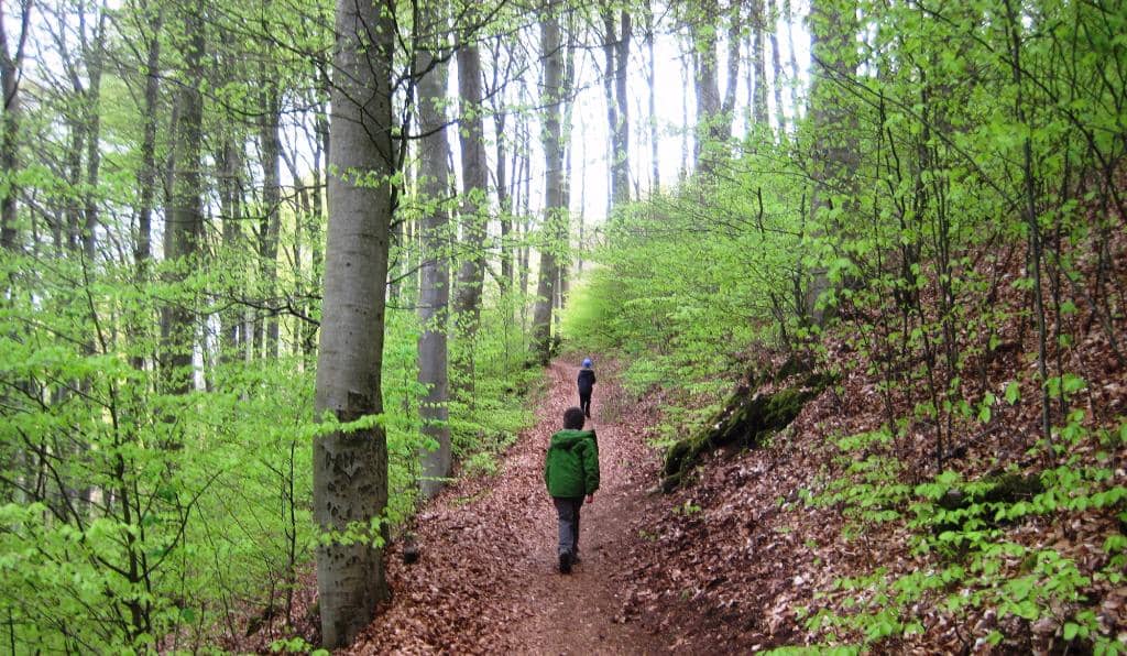 Scenic Lakeside Hike