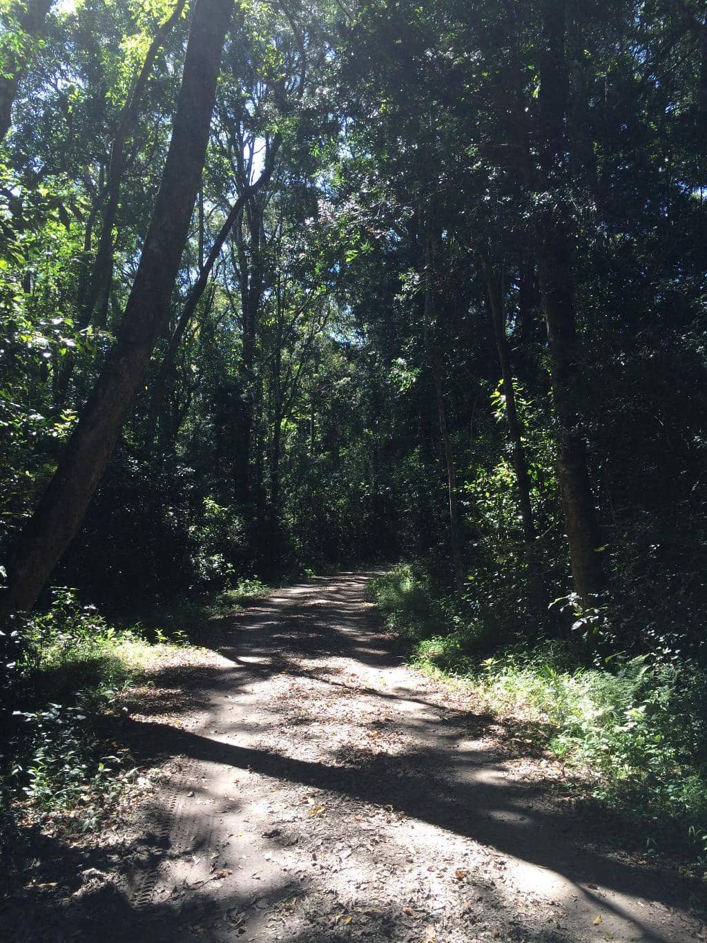 Dalene Matthee Memorial