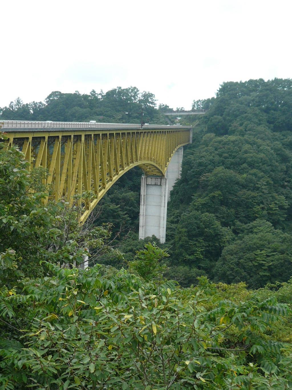 Vibrant Autumn Foliage