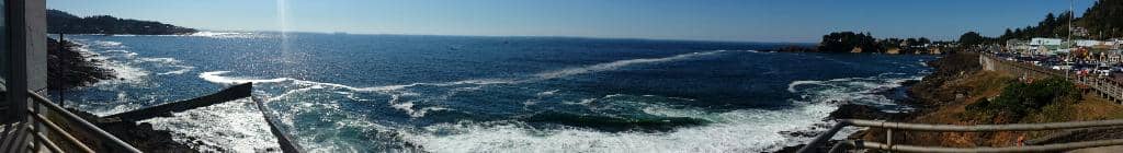 Kite Flying & Beachcombing