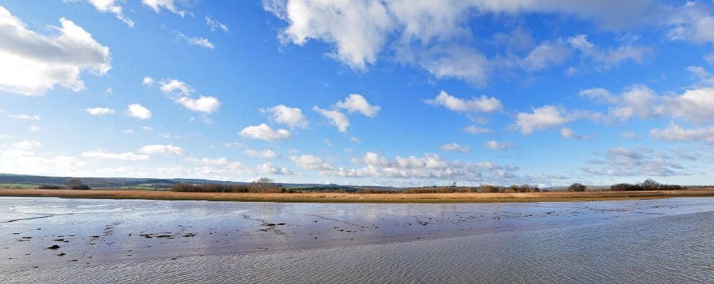 Heathland & Exmoor Ponies
