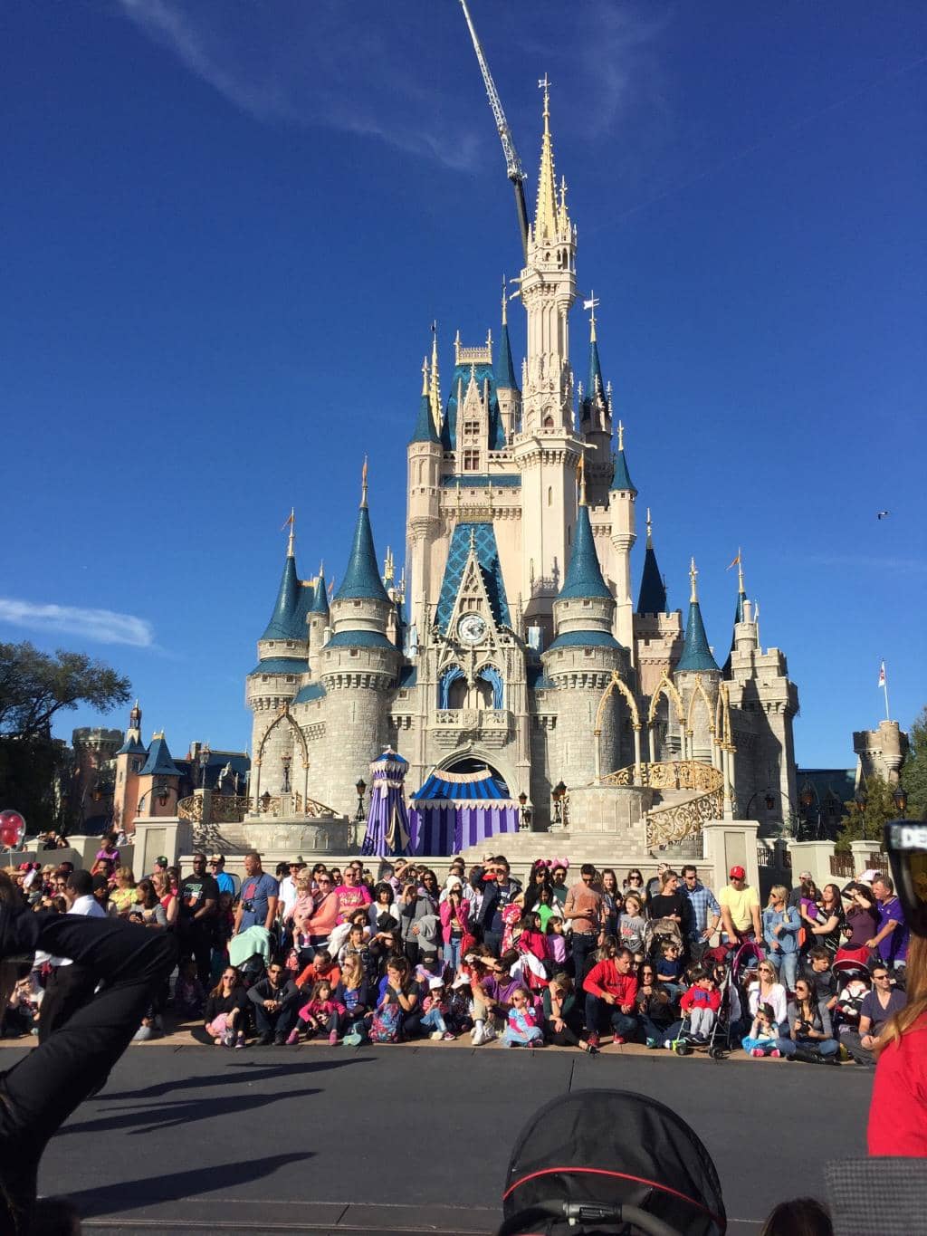 Outdoor Movies & Campfires