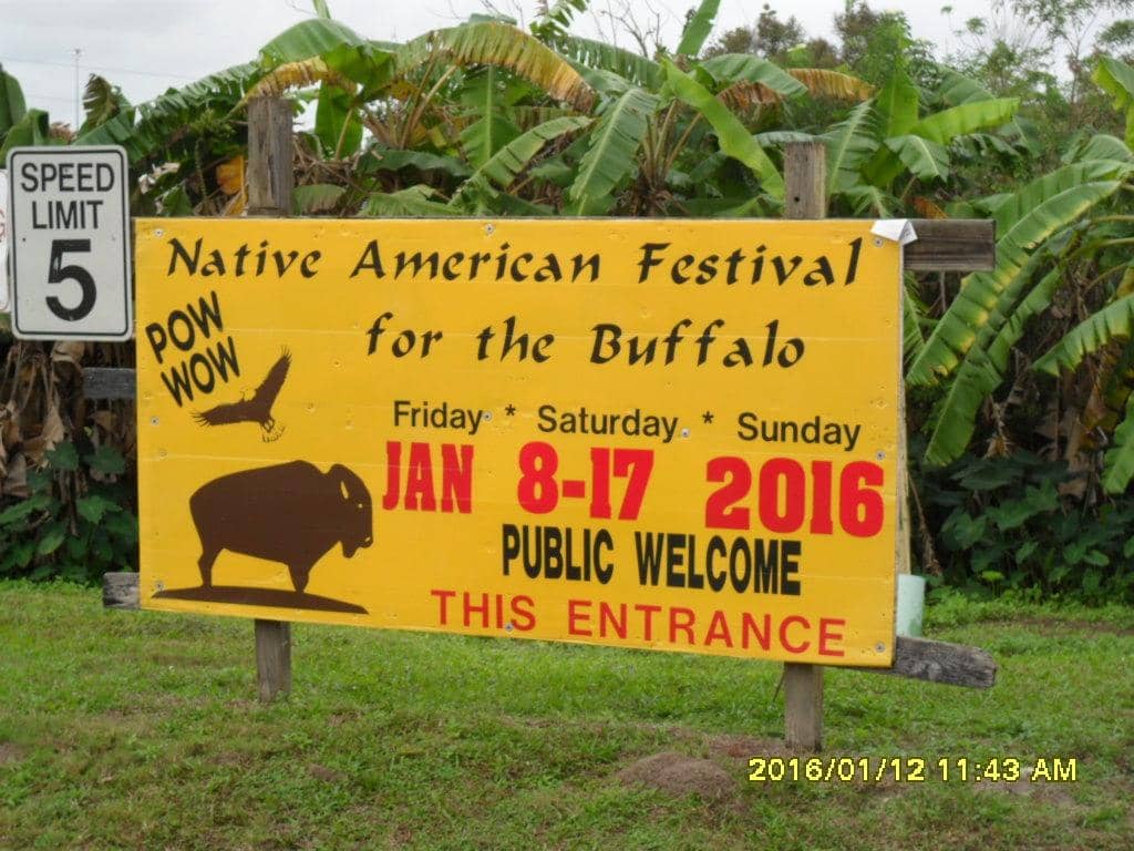 Unique Animal Encounters