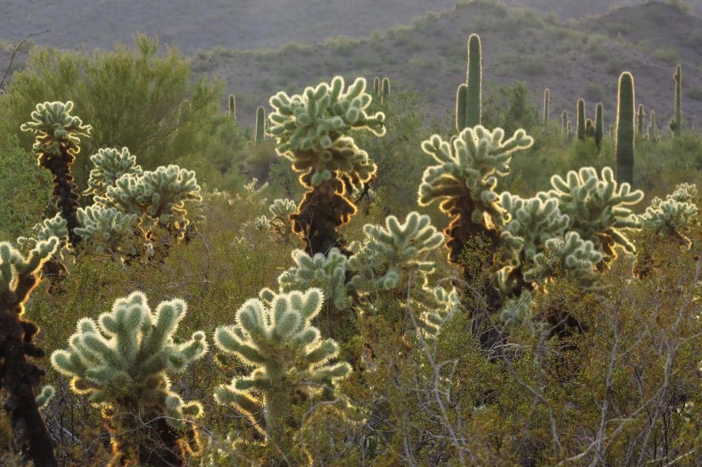 Boondocking Paradise