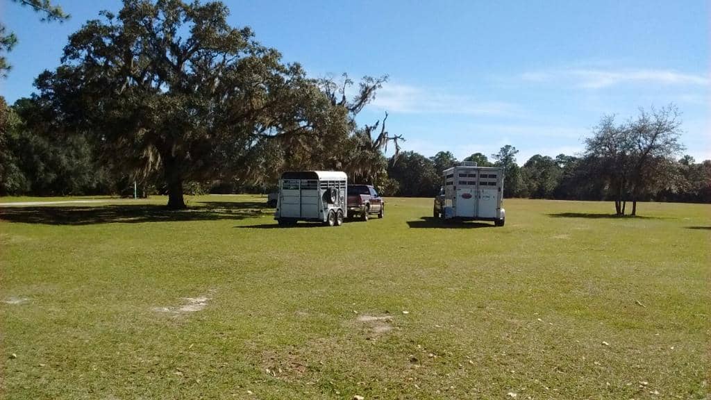 Coastal Hammock Ecosystem