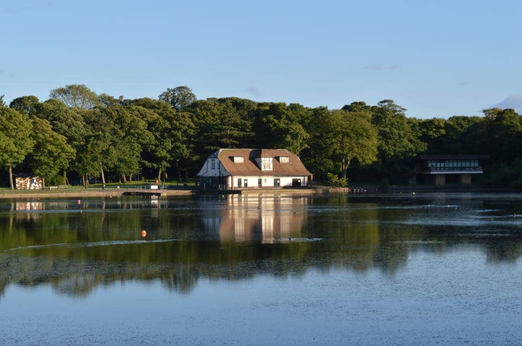 Picnic & Open Fields