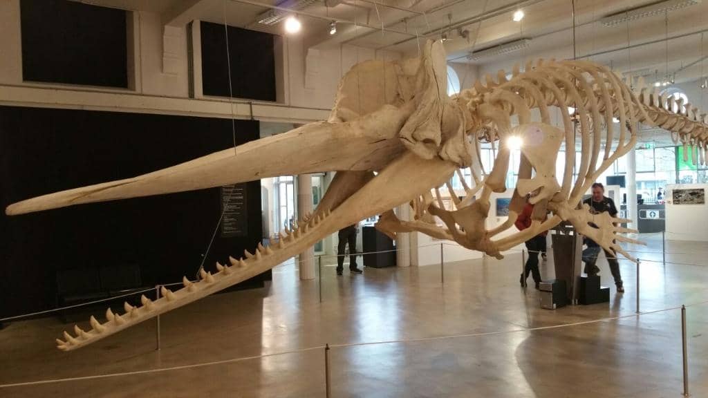 Interactive Science Experiments