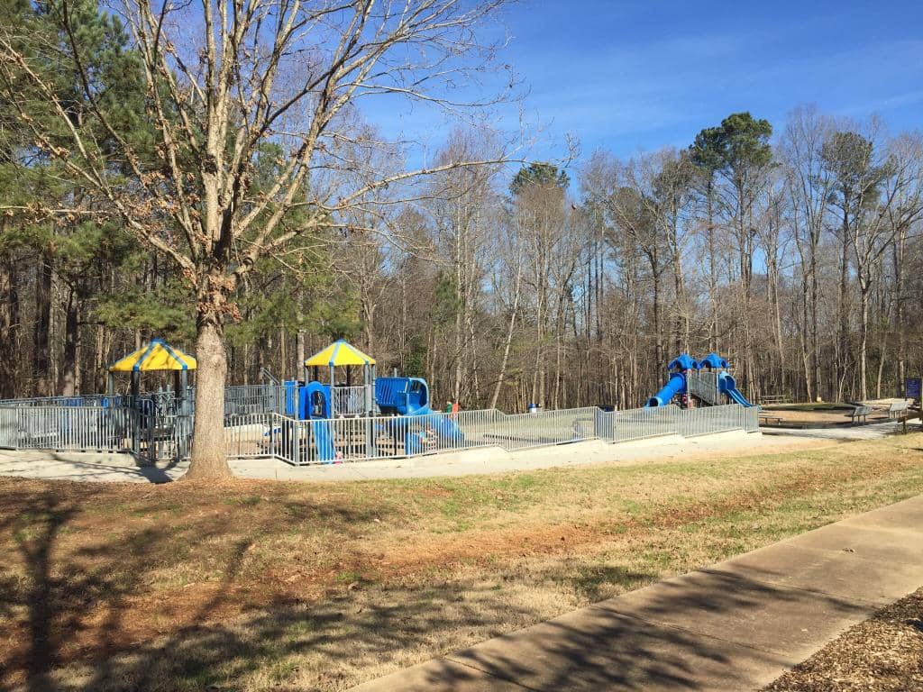 Go Ape Treetop Adventure