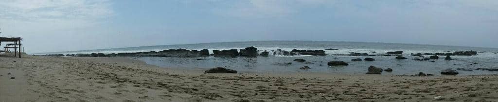 Whale & Dolphin Watching