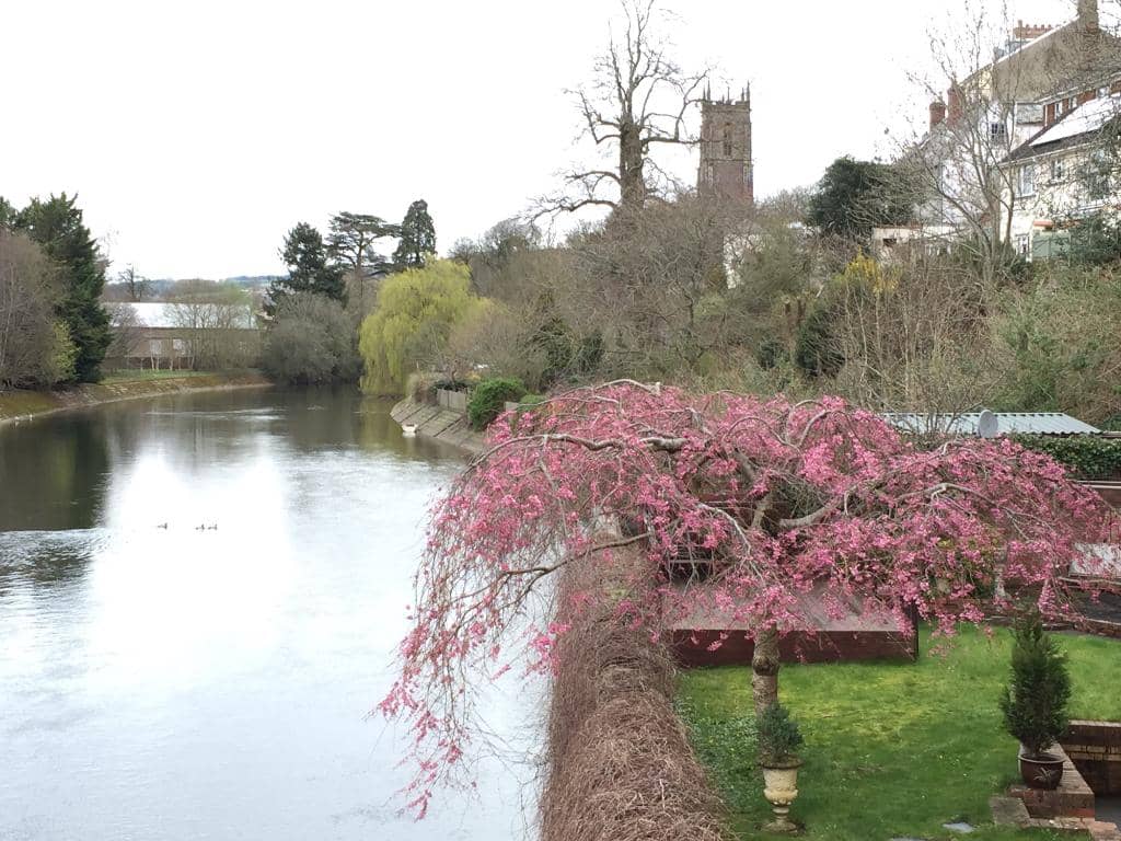 Plantagenet Princess Burial Site