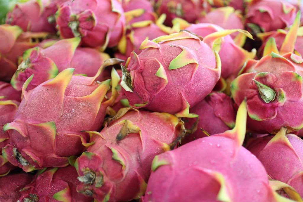 Tropical Fruit Paradise