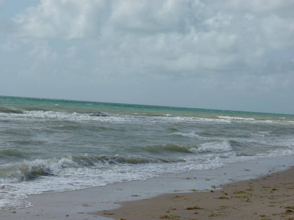 The Village at Gulfstream Park