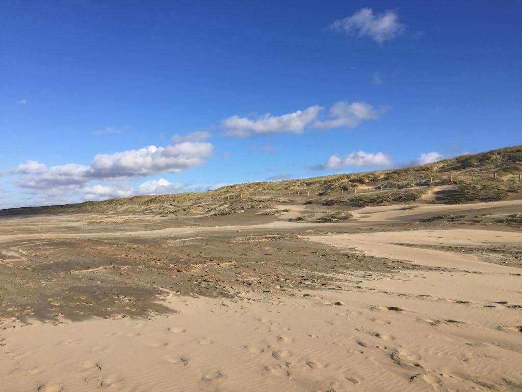 Seal Spotting Opportunities