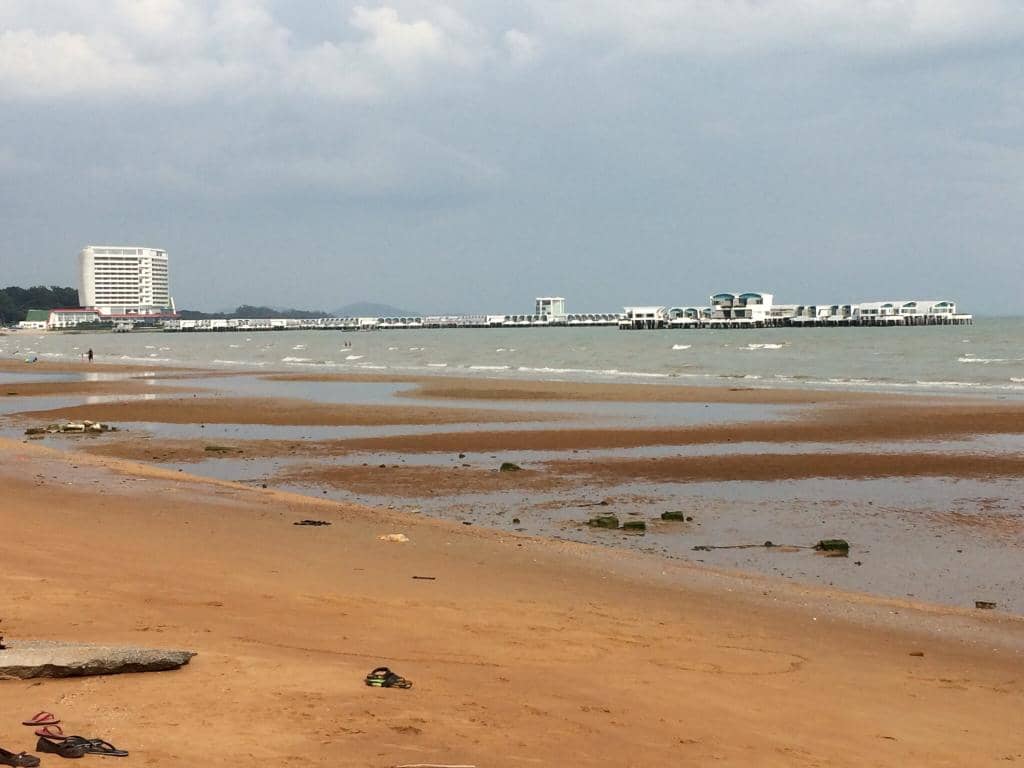 Encountering Local Wildlife