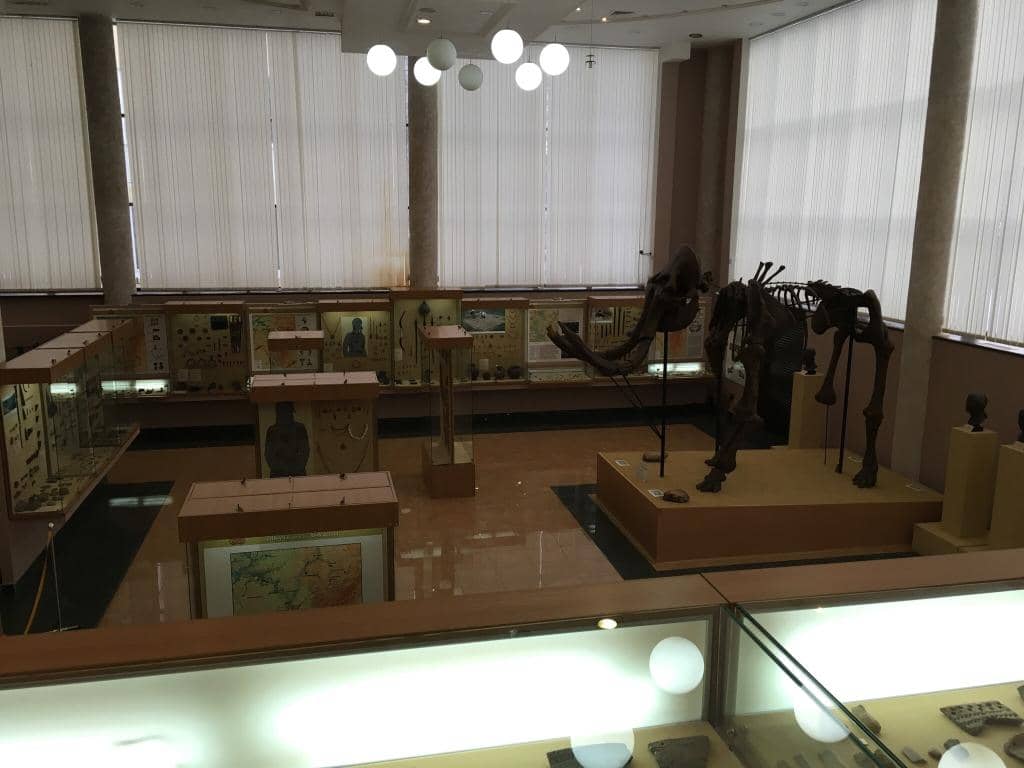 Ethnographic Displays