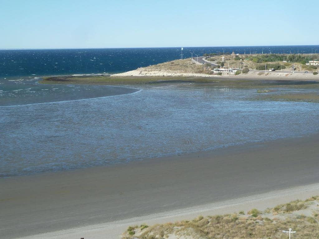 Whale Watching from Shore