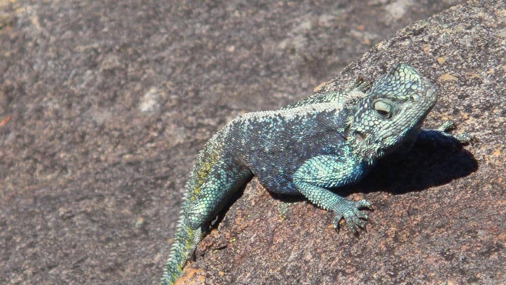 Friendly & Experienced Guides