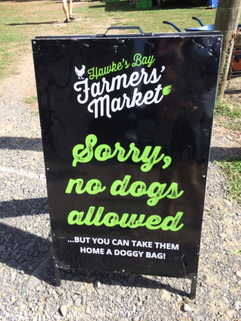 Live Music Atmosphere