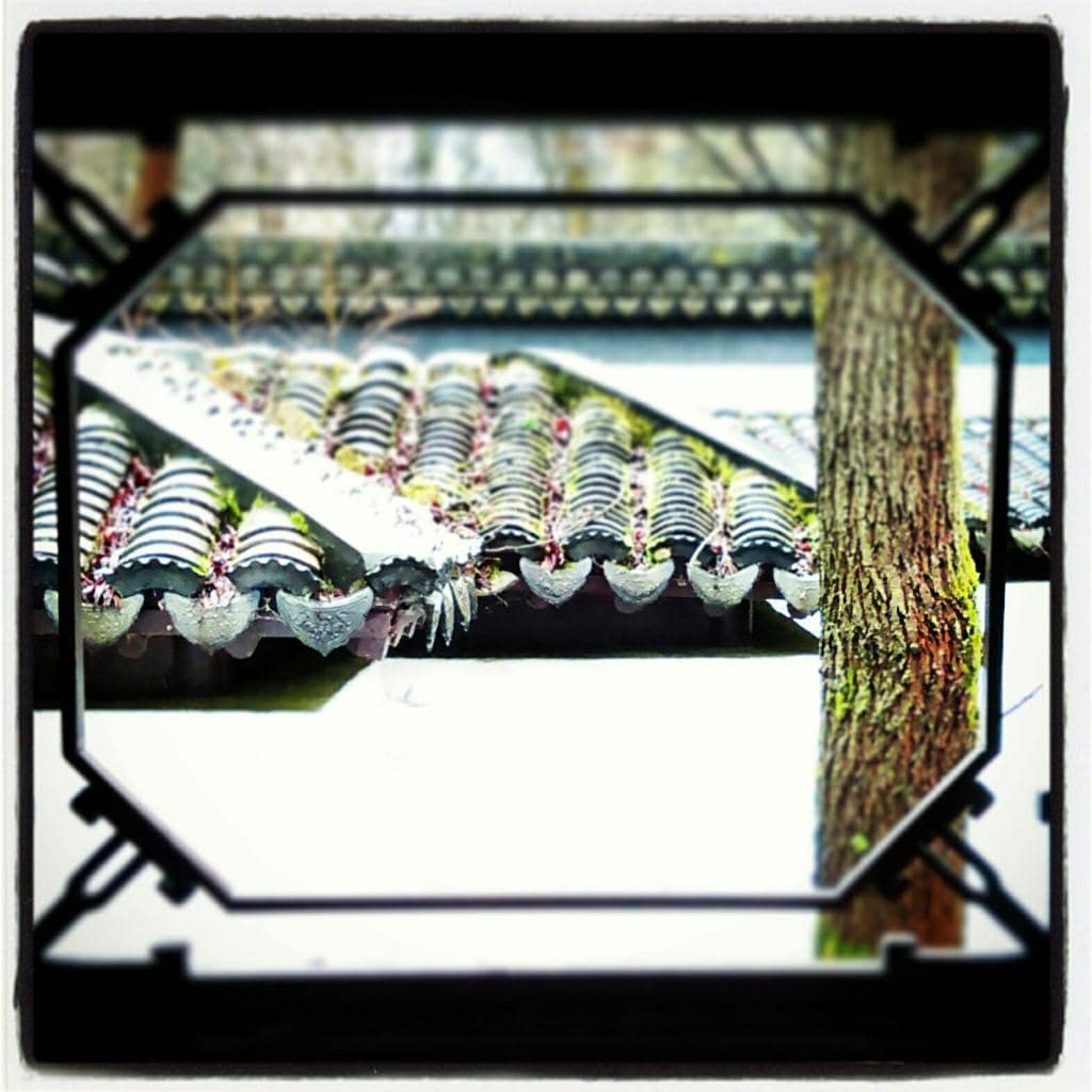 Labeled Plant Collections