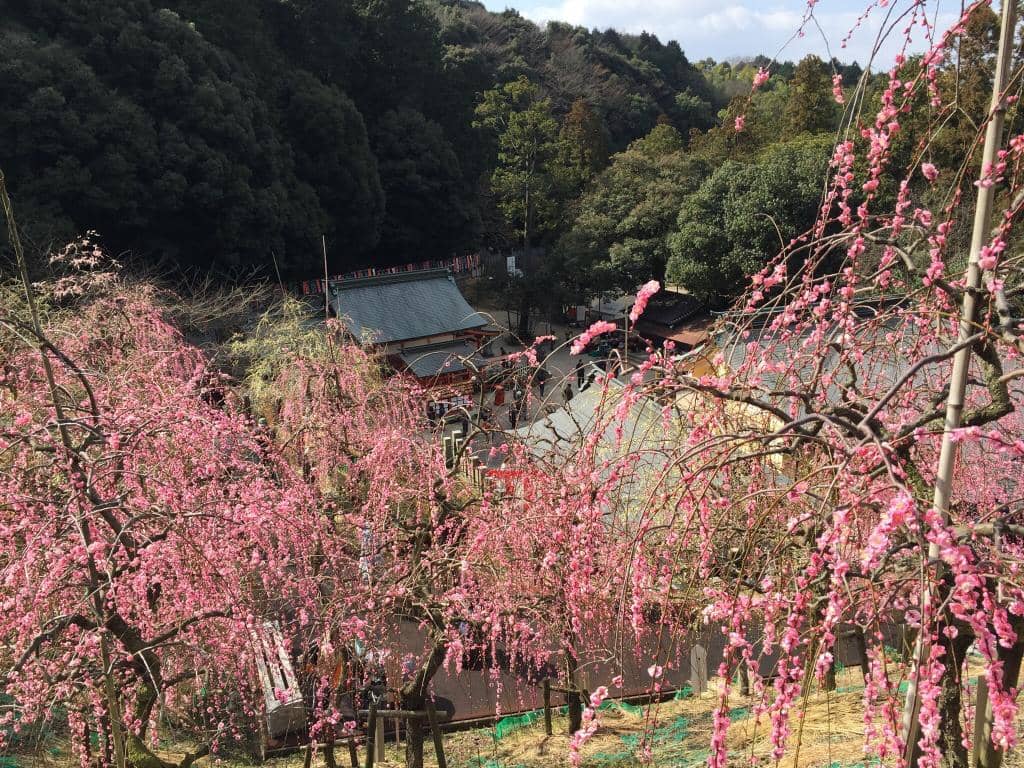 Annual Harvest Festival