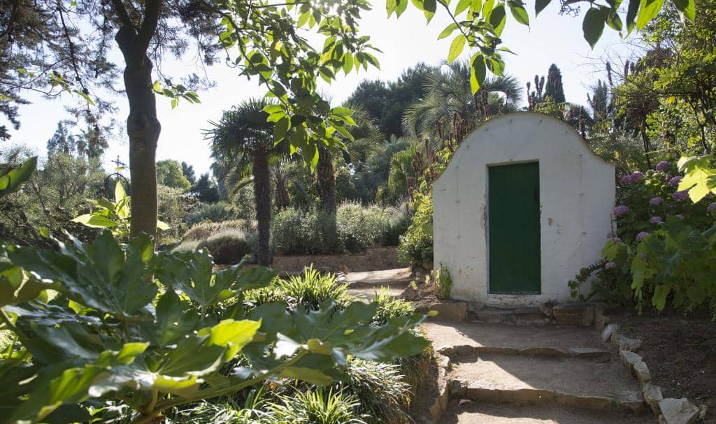 Exotic Plant Collections