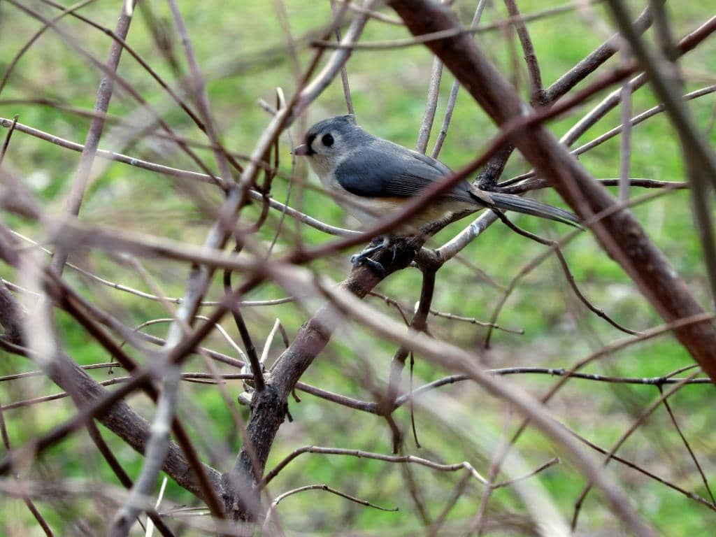 Interactive Visitor Center