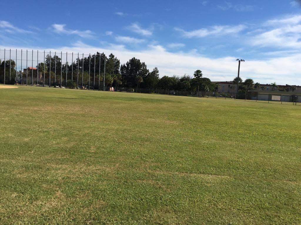 Ball Fields & Tennis Courts