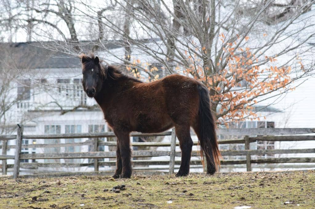 Extensive Trail Network