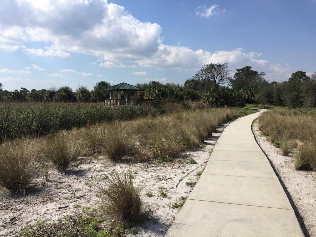 Wetland Wildlife Viewing