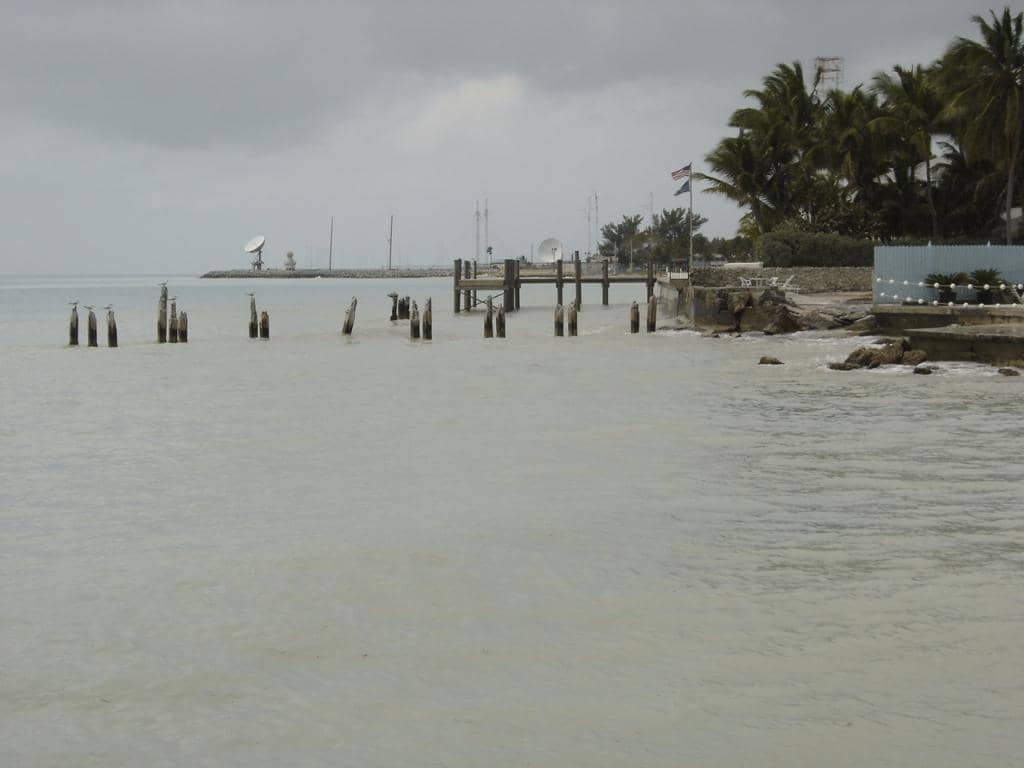 Lagerheads Beach Bar