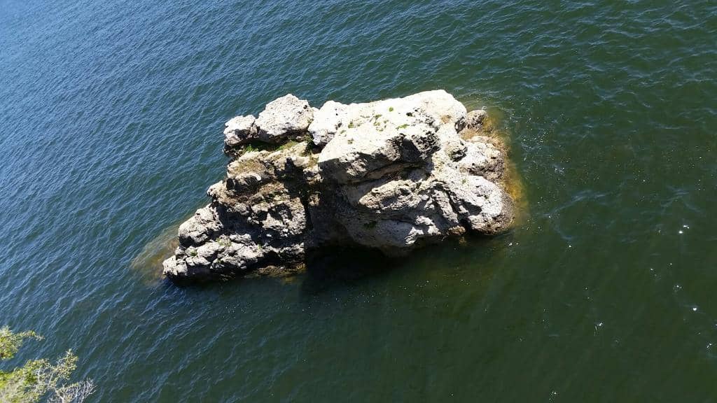 Primitive Camping Experience