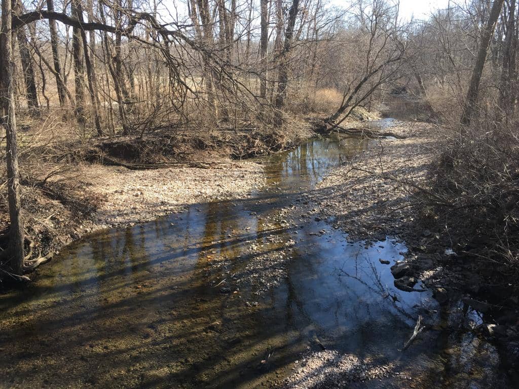 Scenic Walking Trails